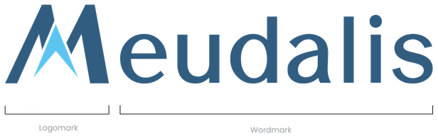 Meudalis logo mark — M fused with Saint Lucian flag geometry